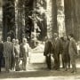 The Bolling Grove was dedicated more than 90 years ago in what is now known as Humboldt Redwoods State Park.