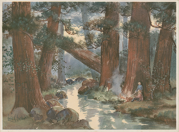 1901-1908