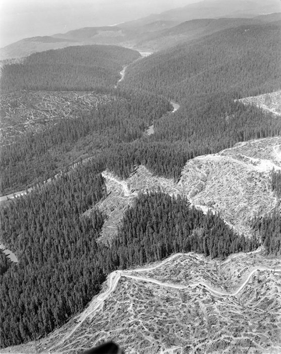 Logging by Arcata Redwood Company. Photo: David H. Swanlund [#4644], 1975. Save the Redwoods League photograph collection [graphic], BANC PIC 2006.030--NEG, NEG box 8. Courtesy of The Bancroft Library, University of California, Berkeley.