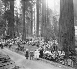 The League dedicates the Bull Creek-Dyerville Forest as past of the California state parks system in 1931. Photo by Martin, 1931, Save the Redwoods League photograph collection, BANC PIC 2006.030, The Bancroft Library, UC Berkeley