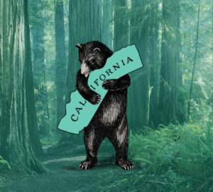 California Bear Love