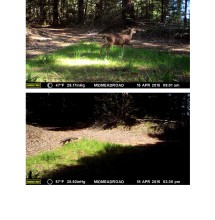 CV wildlife pics 9.2.15 (2)_Page_03