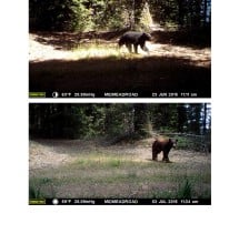 CV wildlife pics 9.2.15 (2)_Page_09