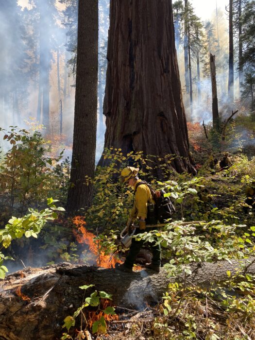 Prescribed burn calaveras