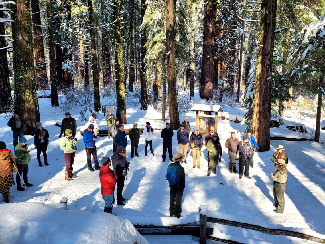 A group of people stand in a forest covered by snow.