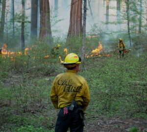 Crew at prescribed burning