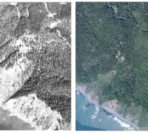 Left, Cape Vizcaino in 1947, with meadows clearly visible. Right, the present view, with trees encroaching heavily.