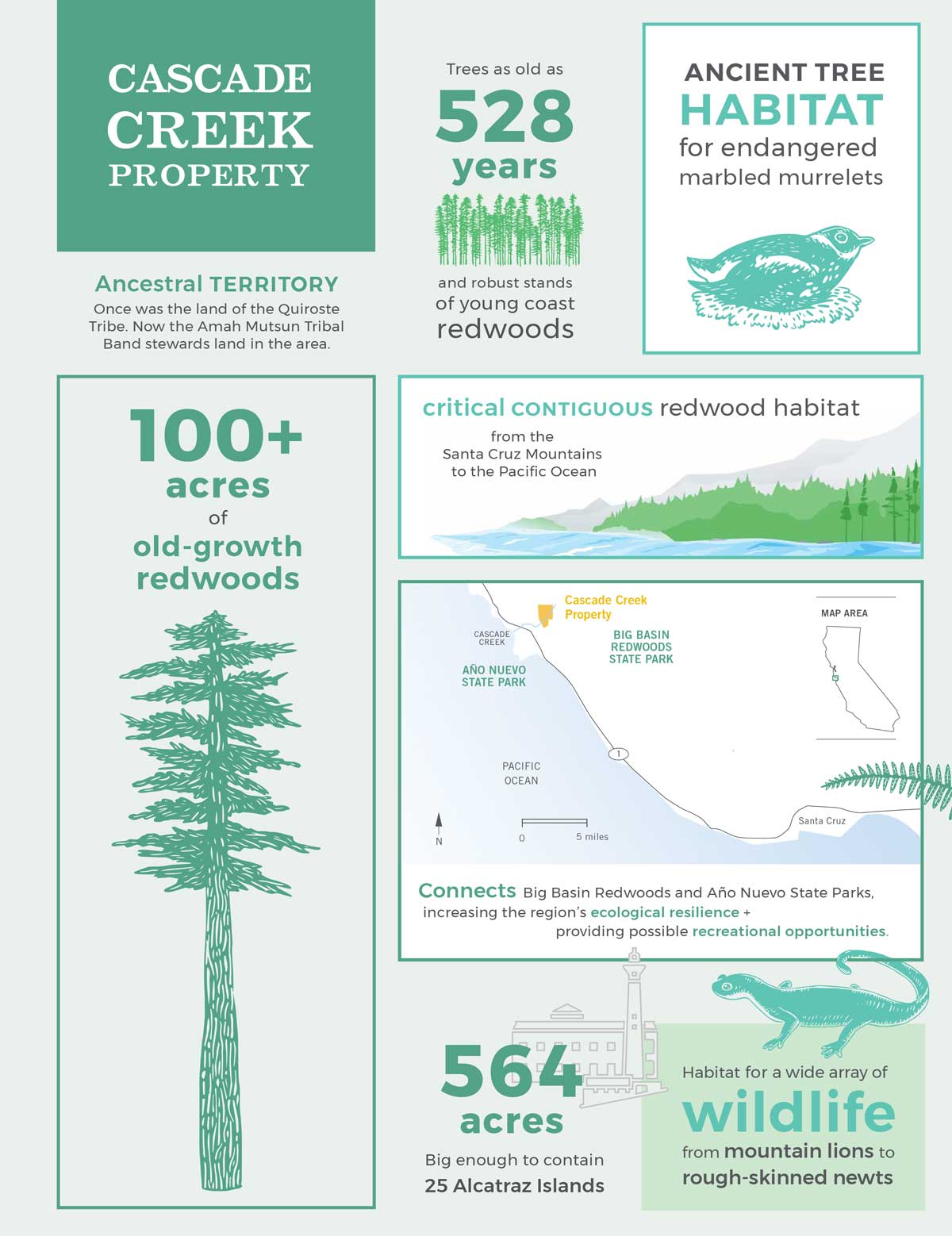 Cascade Creek facts infographic