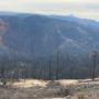 Cascade-Creek-Post-fire-view-from-overlook_web