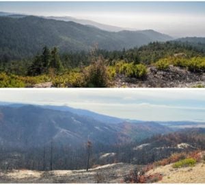Views of Cascade Creek before the CZU Lightning Complex fires (top) and after the fires (bottom).