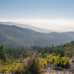 A panoramic view over Cascade Creek.