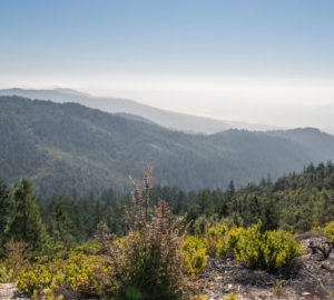 A panoramic view over Cascade Creek.