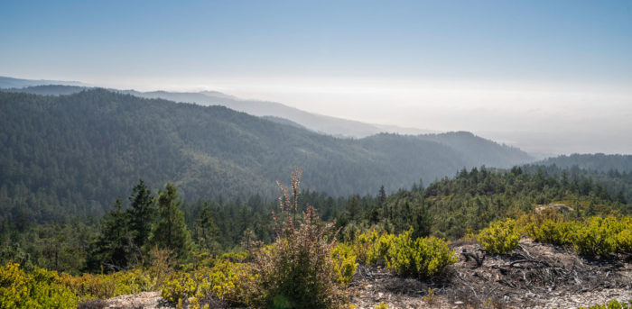 Cascade Creek. Photo by Victoria Reeder, Save the Redwoods League.