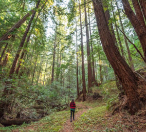 A marvelous journey through Cascade Creek