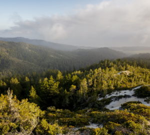 Cascade Creek is a stunning expanse of over 100 acres of old growth redwoods forest.