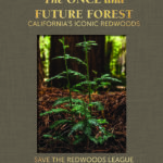 The Once and Future Forest: California's Iconic Redwoods limited edition book.