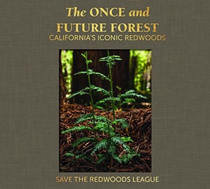 The Once and Future Forest: California's Iconic Redwoods limited edition book.