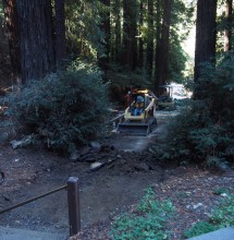 In fall 2015, California Conservation Corps crews and contractors removed part of the old Pfeiffer Falls Trail’s concrete and constructed a beautiful, small dirt section of trail. League members’ gifts have supported the planning and rebuilding of the rest of the Pfeiffer Falls Trail.