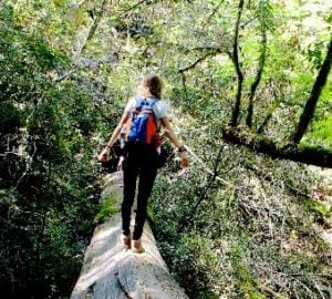 Cheyenne explores the serene natural beauty of Mount Tam State Park.