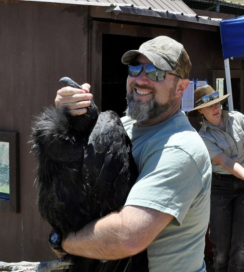 A bearded man who is wearing a watch, baseball cap, light colored t-shirt and polarized sunglasses holds a California condor in his arms. A ranger stands in the background.