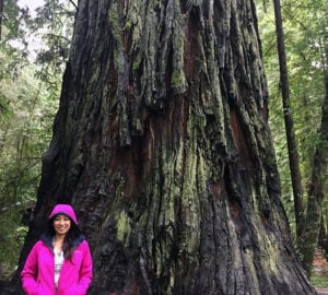 Christina Jaromay in Jedediah Smith Redwoods State Park.