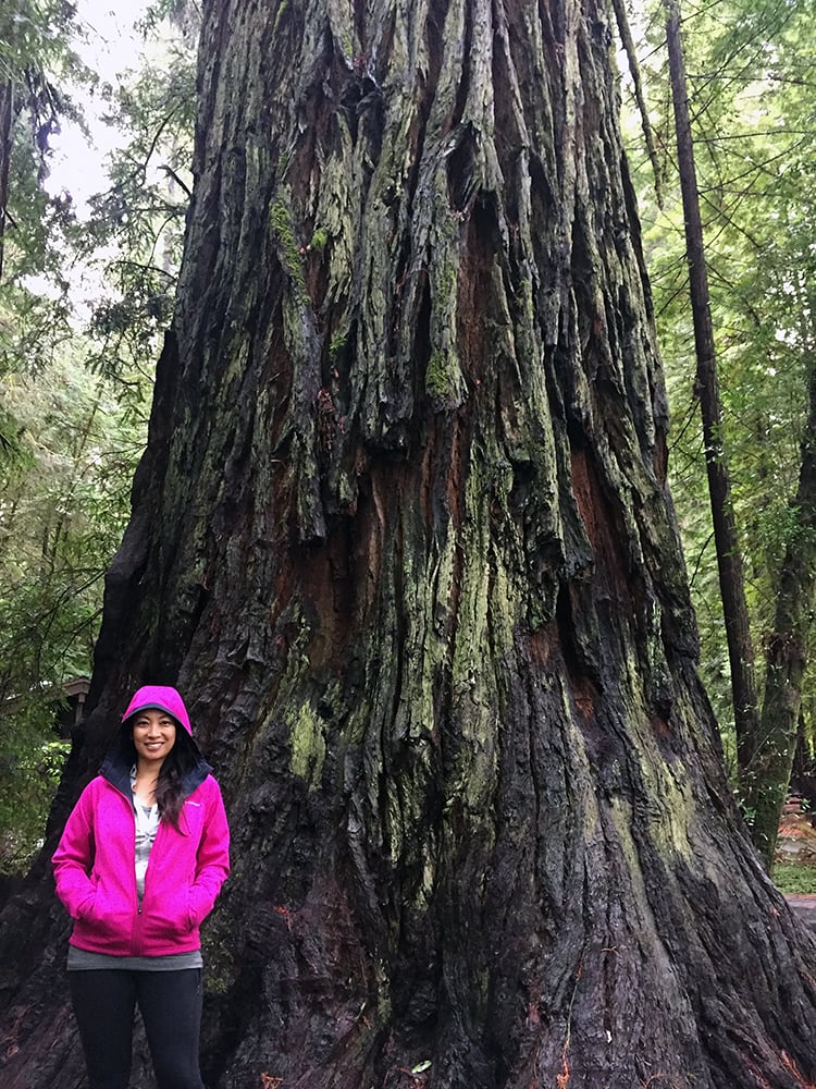 Christina Jaromay in Jedediah Smith Redwoods State Park.