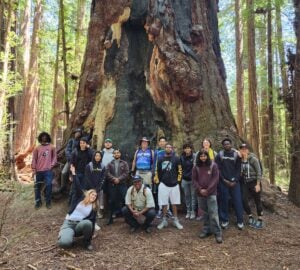 A diverse group of young people pose for a group photo in front of a large redwood tree