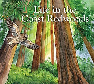 Life in the Coast Redwoods cover