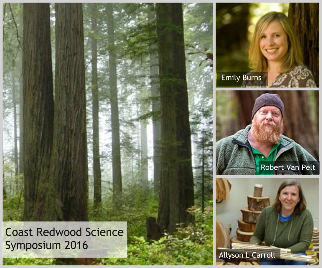 Coast Redwood Science Symposium 2016. Photo of Redwood National Park by Michael Schweppe, Wikimedia Commons