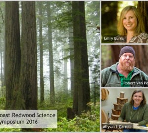 Coast Redwood Science Symposium 2016. Photo of Redwood National Park by Michael Schweppe, Wikimedia Commons