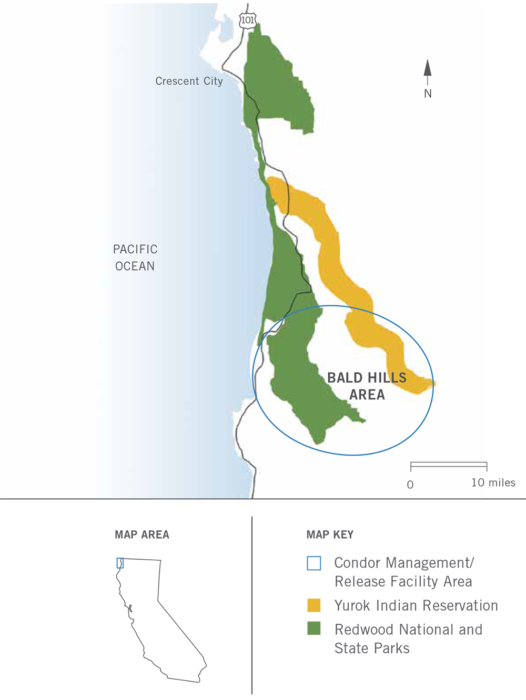 Map of Bald Hills area, showing the boundaries of Redwood National and State Parks in relation to the Yurok Indian Reservation. A circle is drawn designating the overlapping Condor Management/Release Facility Area.