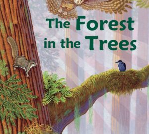 The Forest in the Trees by Connie McLennan