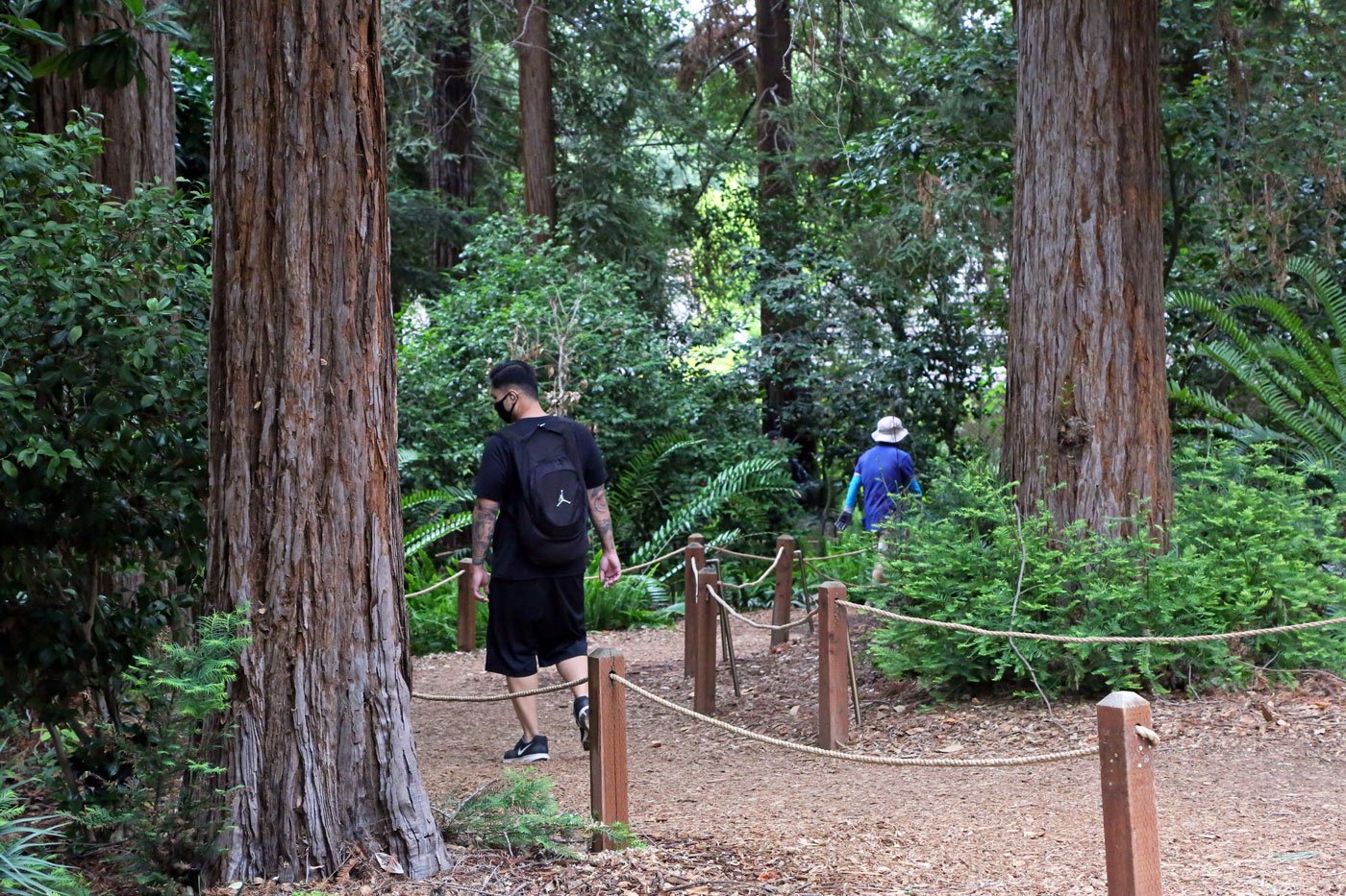 Two people walk along a trail around a bend into the woods. Photo courtesy of Descanso Gardens