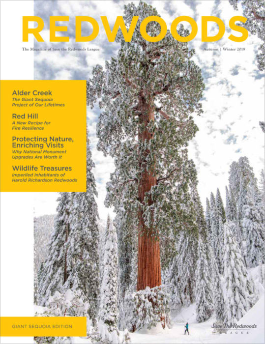 Redwoods Magazine Fall Winter 2019