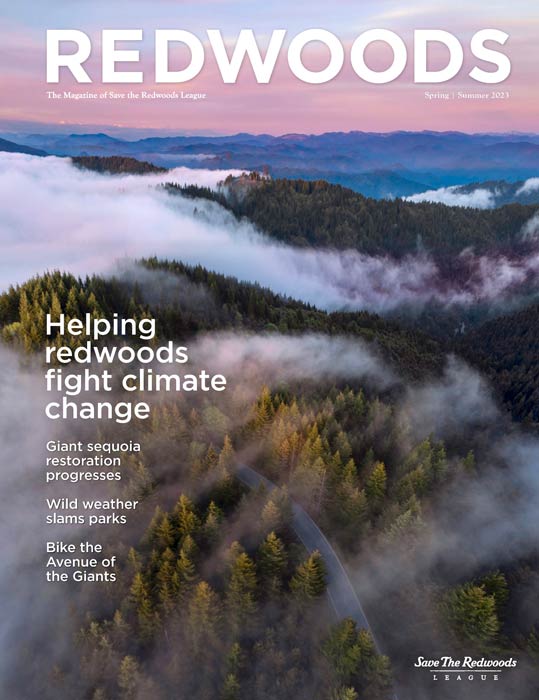 Redwoods Magazine Spring-Summer 2023 cover