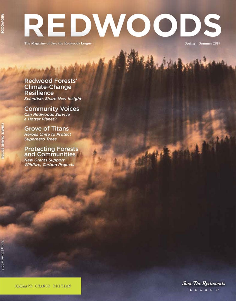 Redwoods Magazine Spring 2019