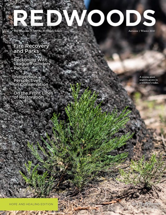 Redwoods Magazine Fall Winter 2020