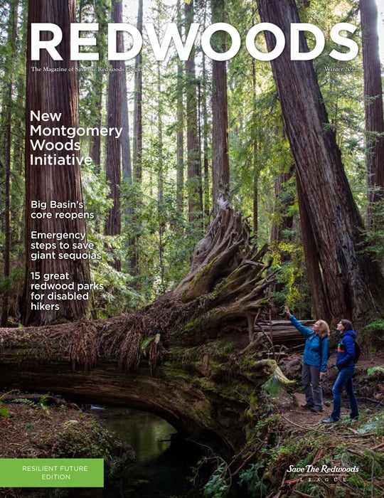 Redwoods Magazine Winter 2022 cover