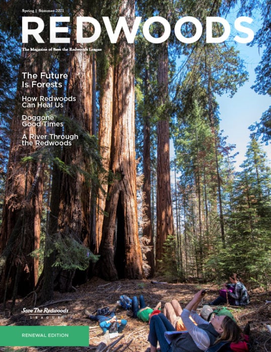 Redwoods Magazine Spring 2021