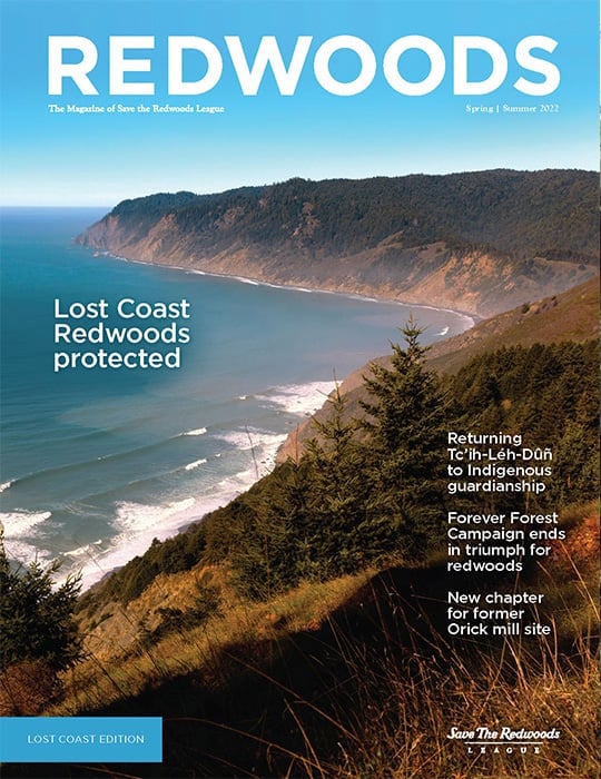 Redwoods Magazine Spring-Summer 2022 cover