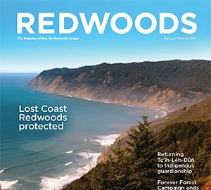 Check out the latest issue of <em>Redwoods</em>