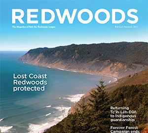 Check out the latest issue of <em>Redwoods</em>