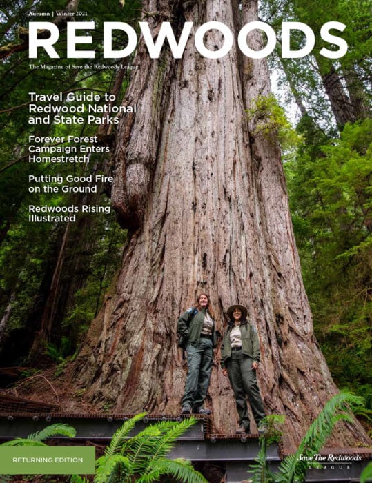 Redwoods Magazine