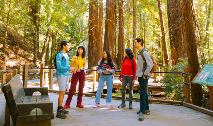 Diverse group of people walking on a redwood trail