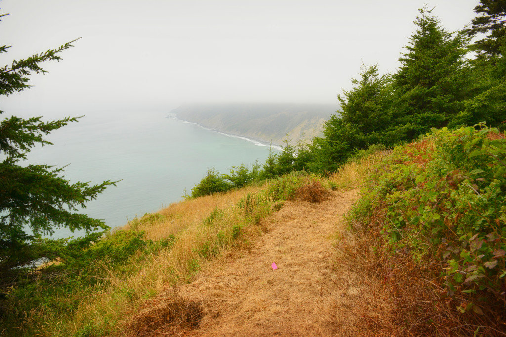 Shady Dell trail