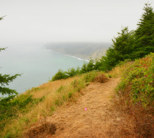 Shady Dell trail