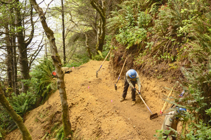 Crew working on the Shady Dell Trail