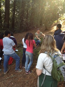 Deborah Zierten teaches students about the redwood forest and shows them how to gather data just like a scientist. 