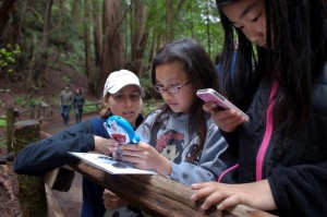 Deborah Zierten worked with junior high students from San Francisco to document species at Muir Woods during BioBlitz. Photo credit: Tonatiuh Trejo-Cantwell