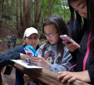 Deborah Zierten worked with junior high students from San Francisco to document species at Muir Woods during BioBlitz. Photo credit: Tonatiuh Trejo-Cantwell